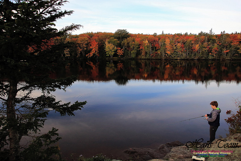 Fall Colours 2017 25