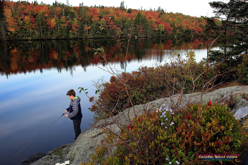 Fall Colours 2017 26