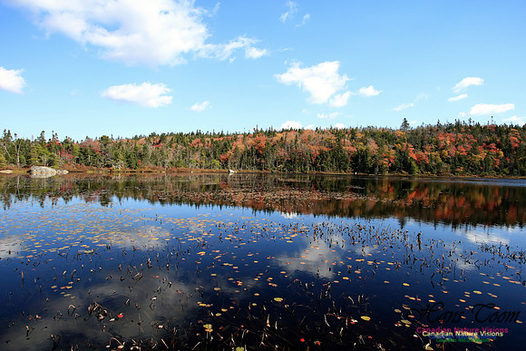 Fall Colours 2017 2