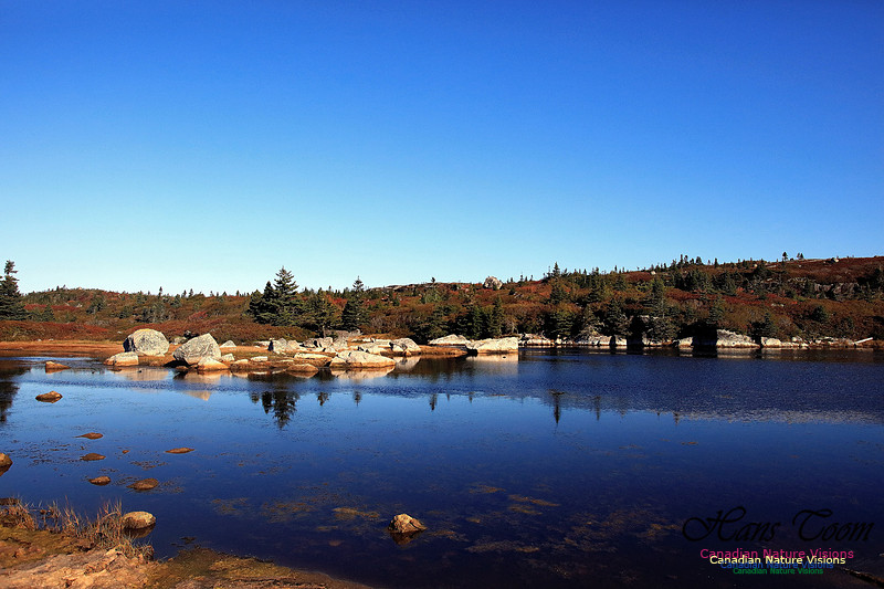 Fall Colours 2017 8