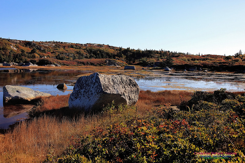 Fall Colours 2017 11