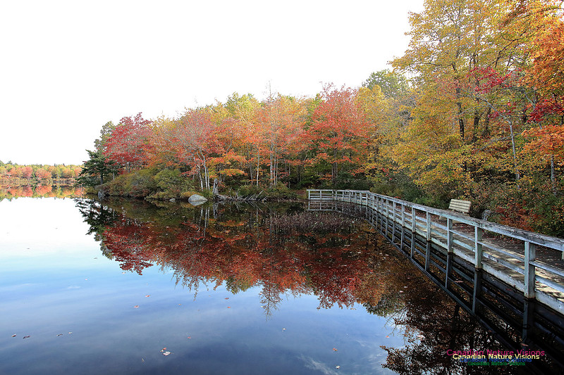 Fall Colours 2017 16