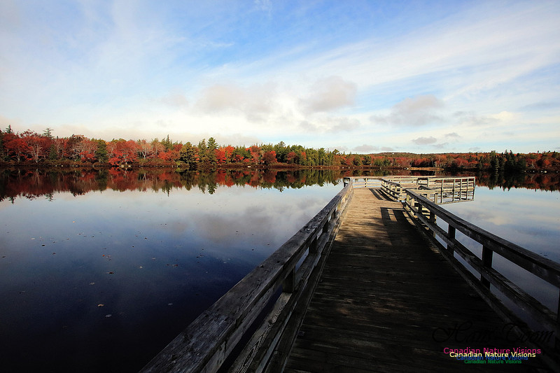 Fall Colours 2017 17