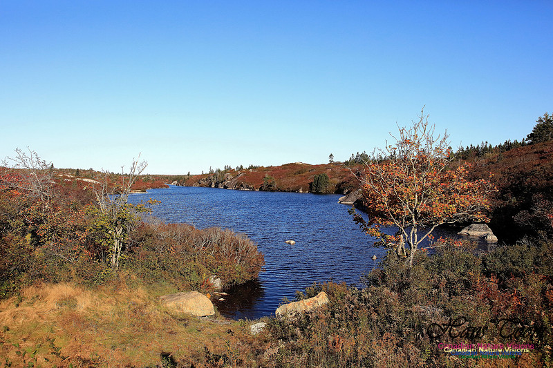 Fall Colours 2017 15-1