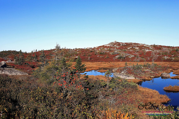 Fall Colours 2017 13-1