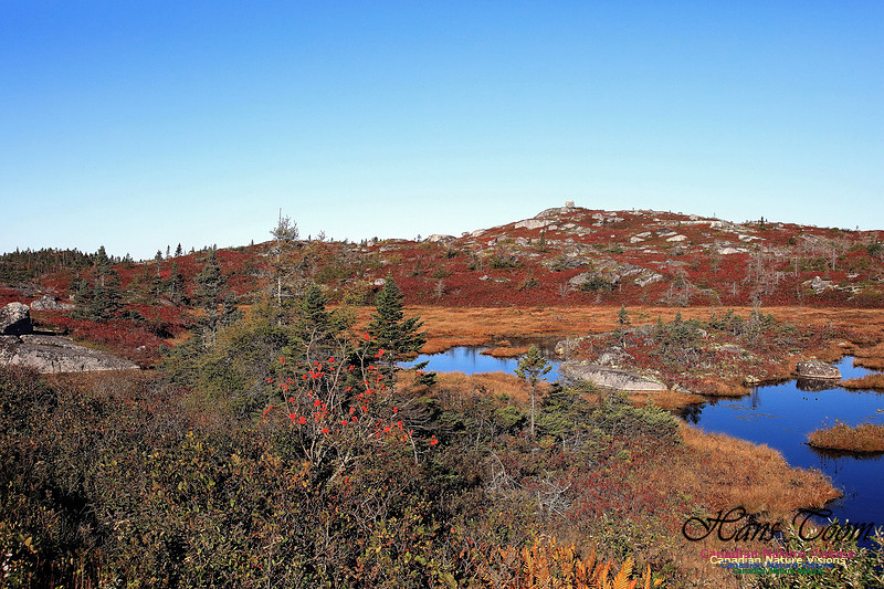 Fall Colours 2017 13-1