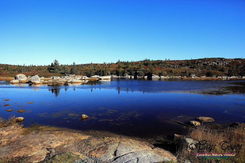 Fall Colours 2017 9-1
