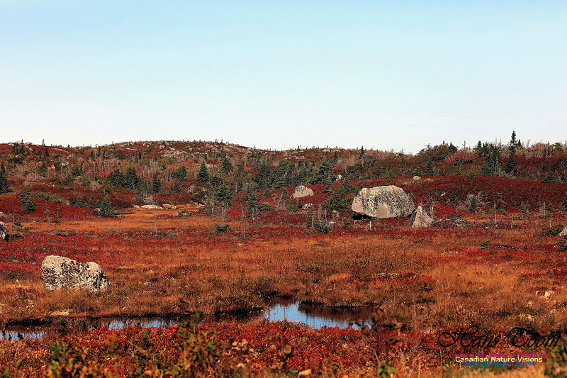 Fall Colours 2017 4-1