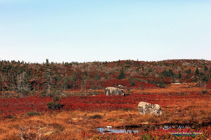 Fall Colours 2017 5-1
