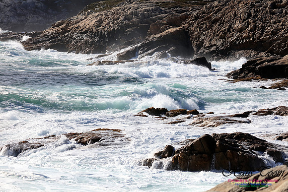 Blustery Day at Eastern Head 2