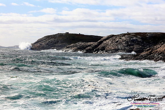 Blustery Day at Eastern Head 3