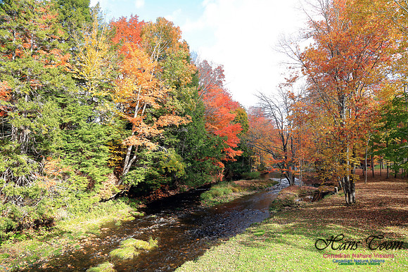FallColours2016-1019