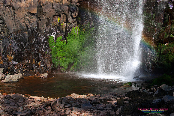 Baxters Falls