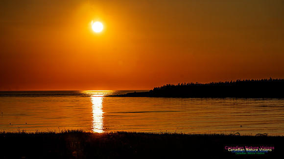 Brier Island Sunset 104