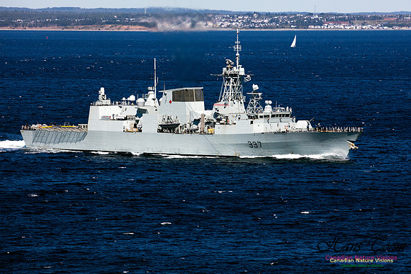 HMCSFrederiction4