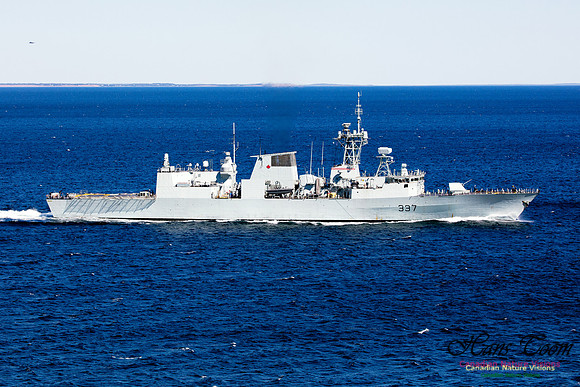 HMCSFrederiction2
