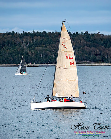 Sailboat 104