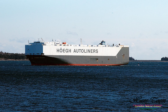 Hoegeh Sydney 1