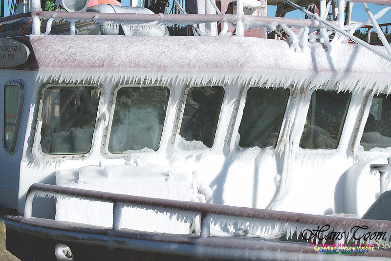 Frozen Fishboat 1
