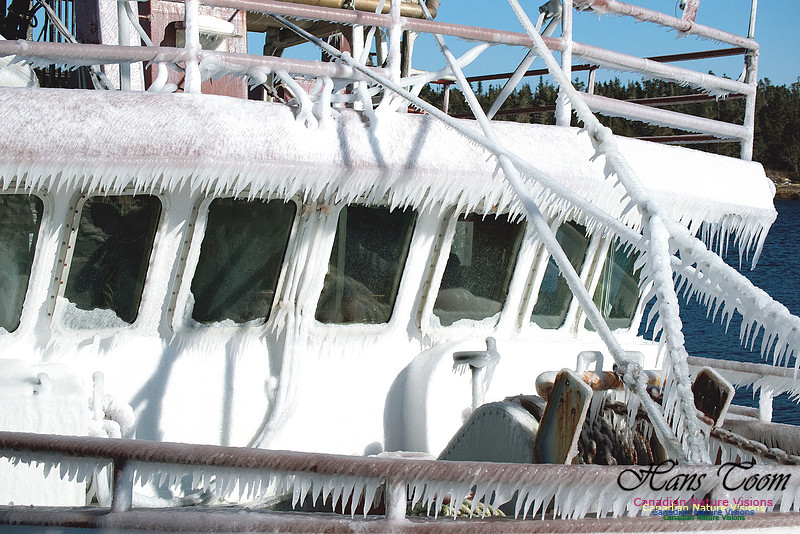 Frozen Fishboat 2