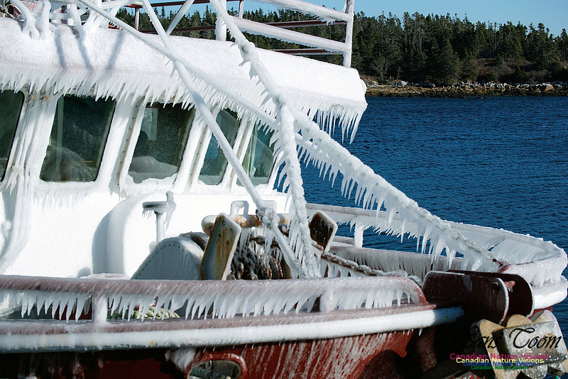 Frozen Fishboat 3