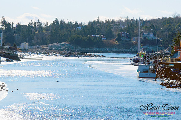 Herring Cove 2