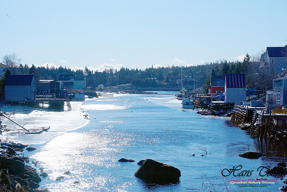 Herring Cove 3