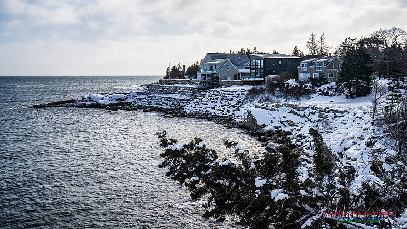 Nova Scotia Winter 336