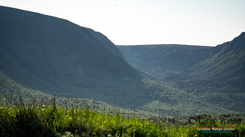 Table Mountains 119