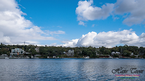 Sambro Loop 111