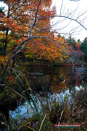 Sir Sanford Fleming Park