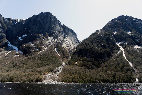 Western Brook Pond 239
