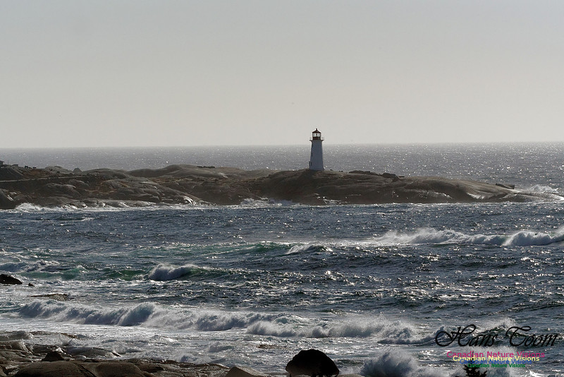 Peggy's Cove Light 5