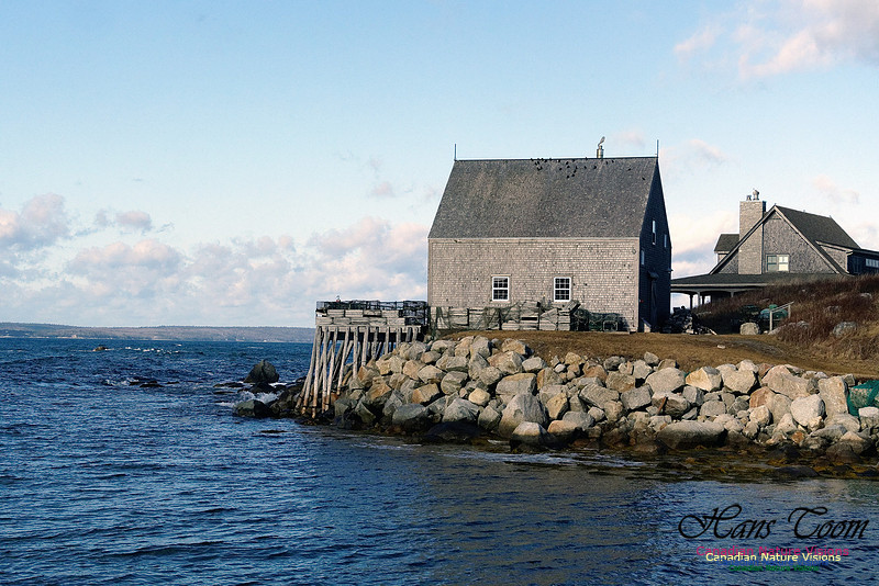 Peggy's Cove 7