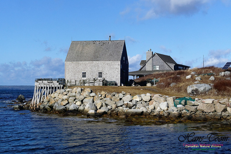 Peggy's Cove 6