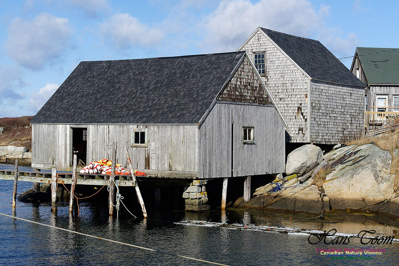Peggy's Cove 5