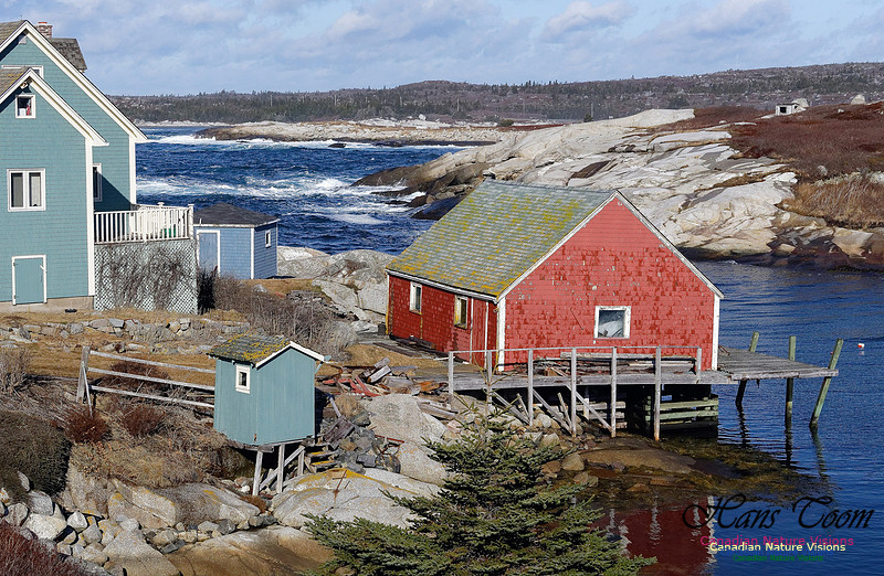 Peggy's Cove 1