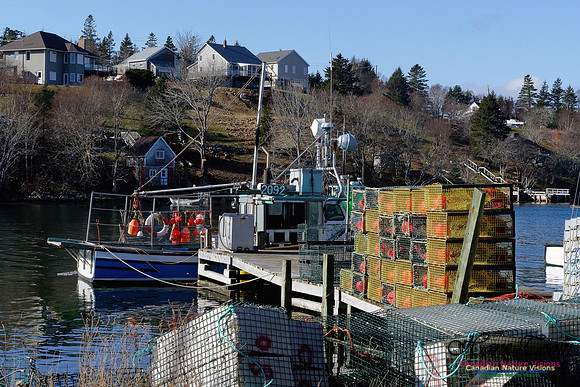 Lobster Boats and Traps 4