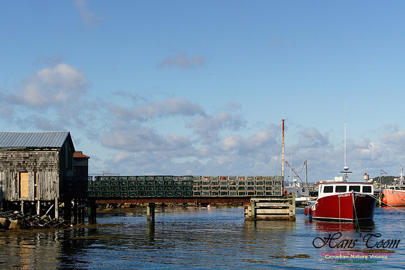 Lobster Boats and Traps 2