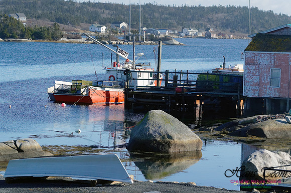 Fishing Boat 1