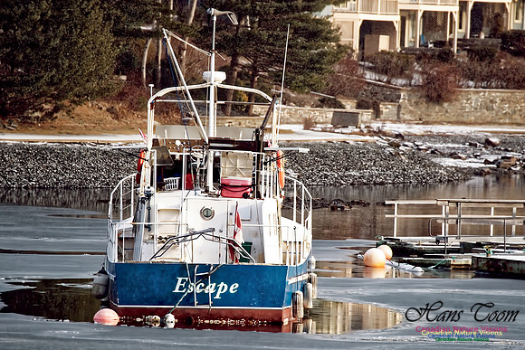 Escape 1