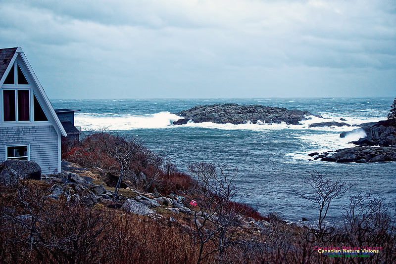 Duncan's Cove 1