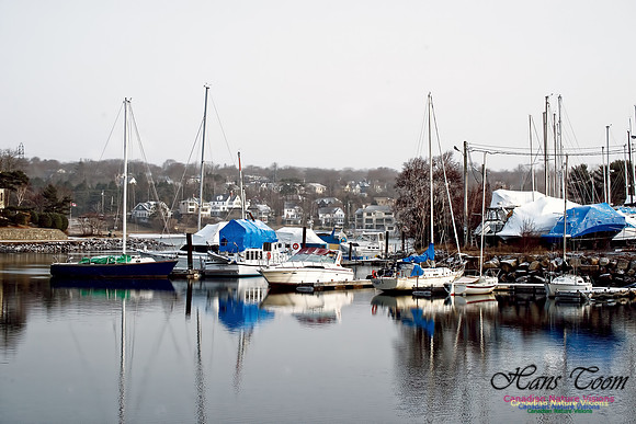 Boats at Rest 1