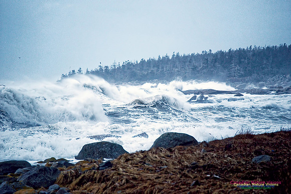 Blustery Day 12