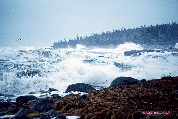 Blustery Day 11