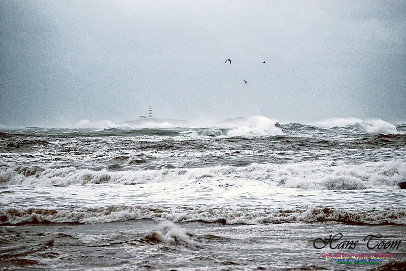 Blustery Day 10