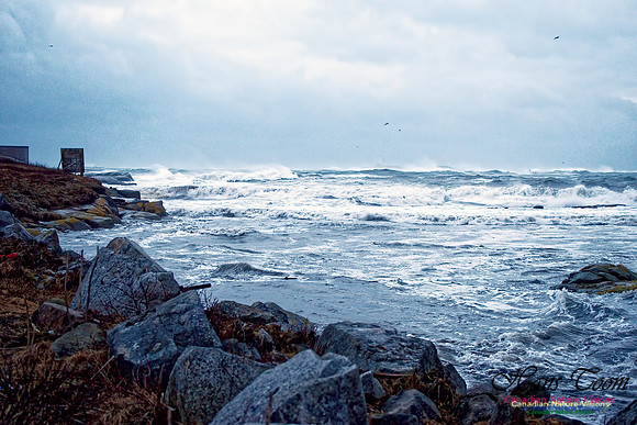 Blustery Day 9