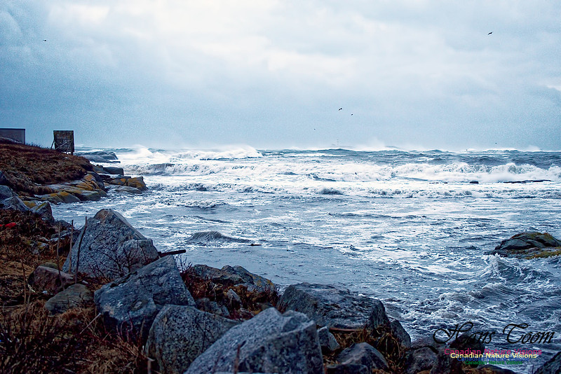 Blustery Day 9