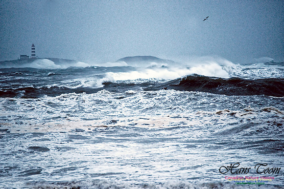 Blustery Day 7