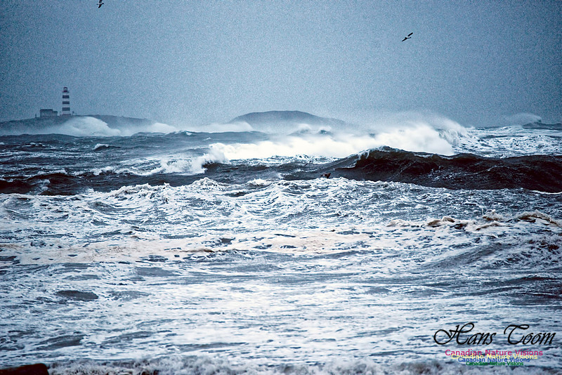 Blustery Day 6